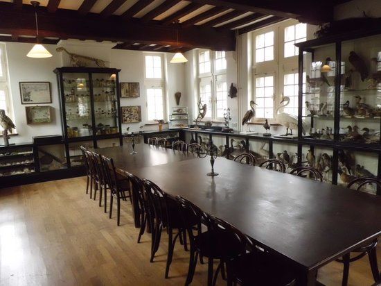 Maastricht Natural History Museum